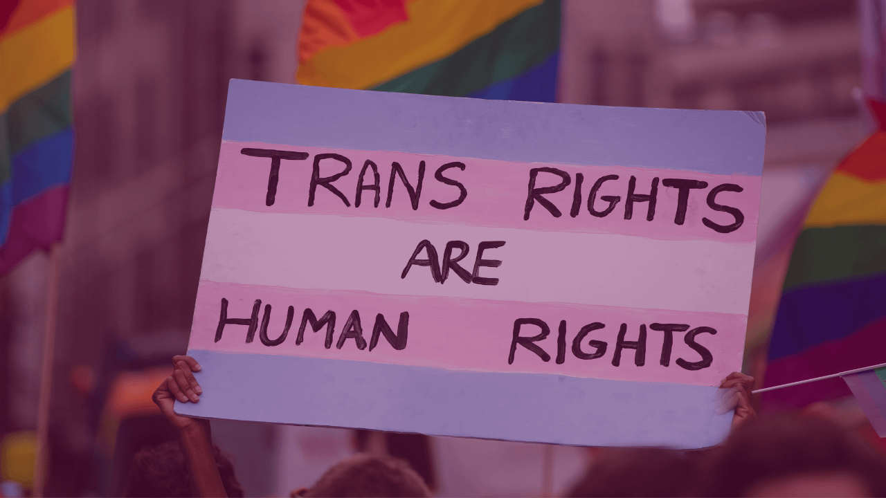 Major trans rights groups unite to take down anti-trans movement