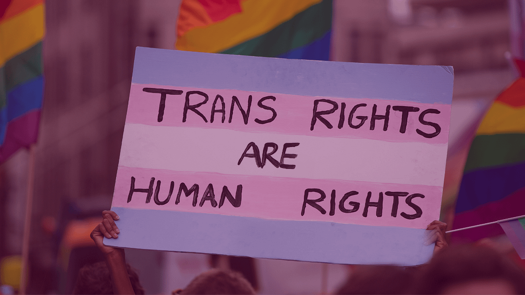 a person holding up a sign at a protest stating "trans rights are human rights"