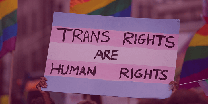 a person holding up a sign at a protest stating "trans rights are human rights"