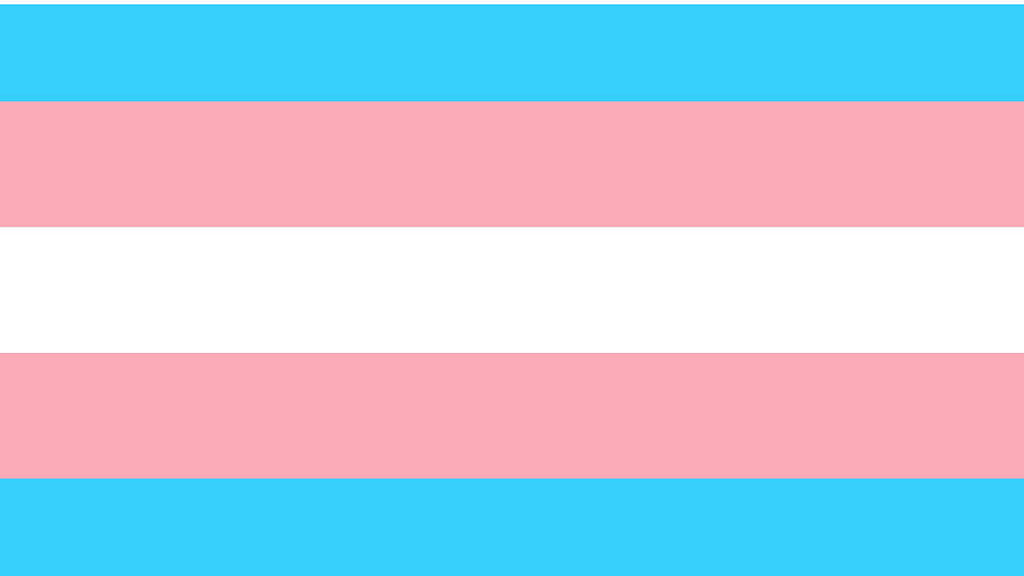 Transgender pride flag