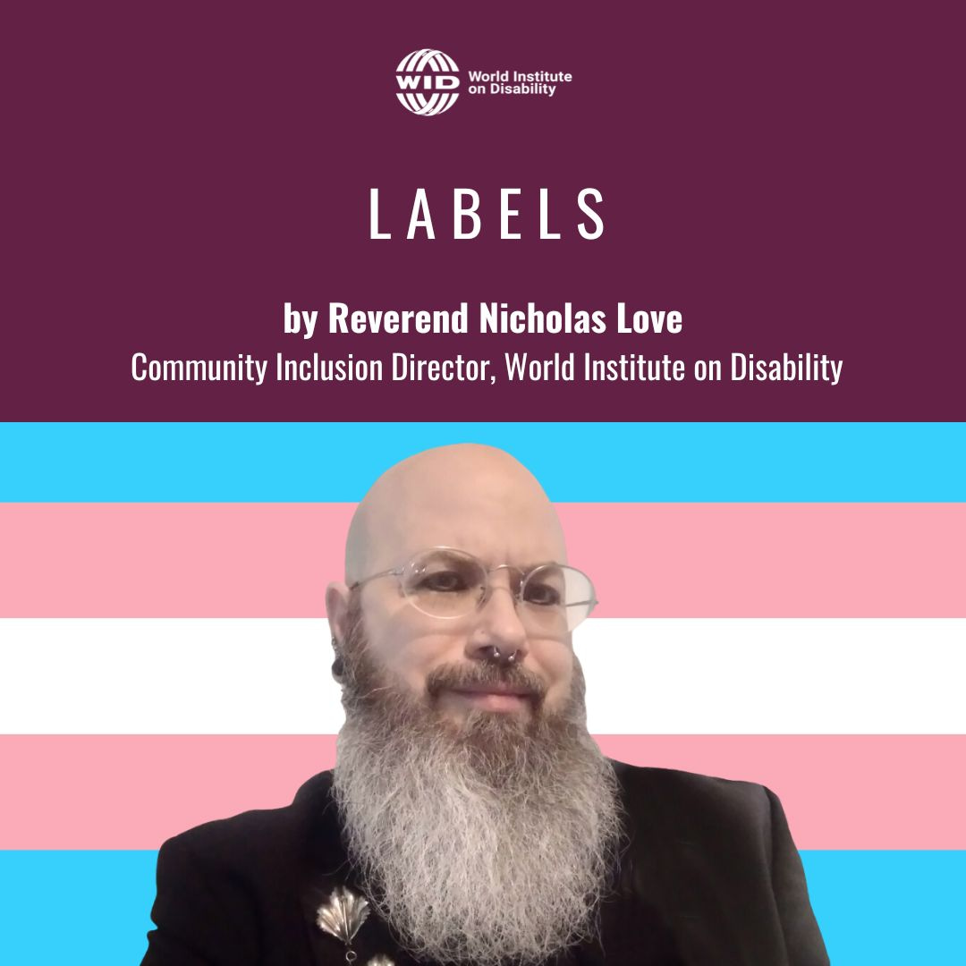 Decorative magenta box on top with text, The bottoms 2/3s is filled with the transgender pride flag as the background along with a headshot of Reverend Nicholas Love.