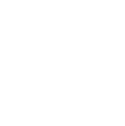 Disaster icon white