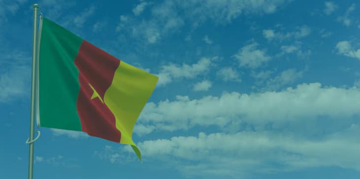 Cameroon Flag waiving in the sky